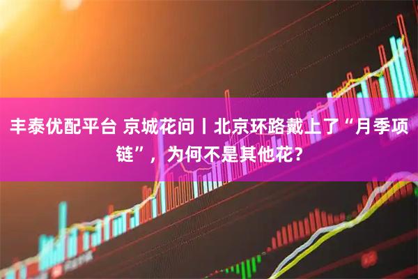 丰泰优配平台 京城花问丨北京环路戴上了“月季项链”，为何不是其他花？